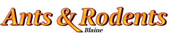 Blaine Ant Exterminator & Rodent Control Company Logo